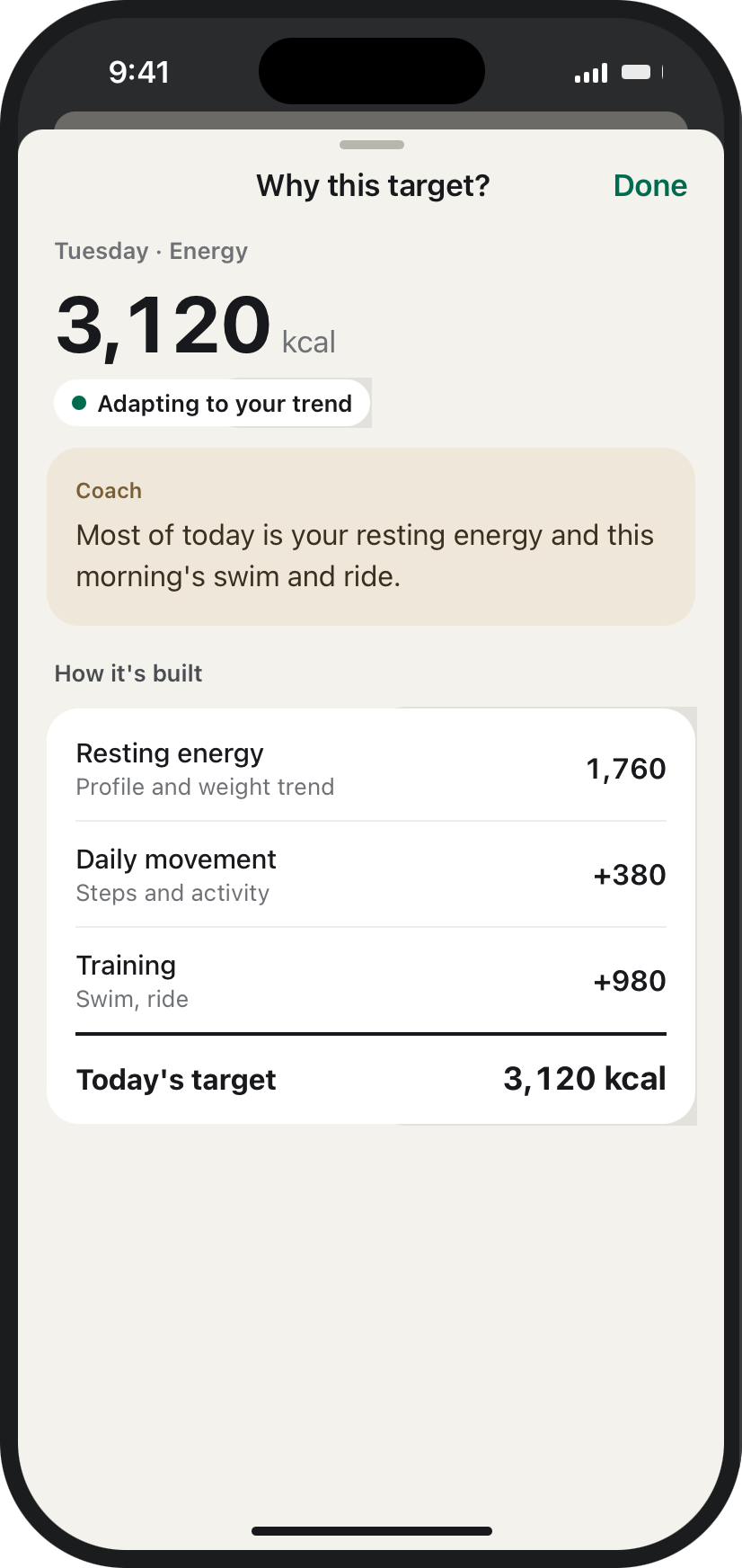 Why this target? — the daily target opened to its breakdown